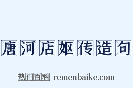 唐河店妪传造句是什么意思的图片